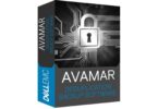 EMC Avamar
