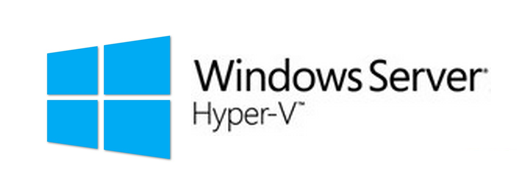 Hyper-V Port Mirroring