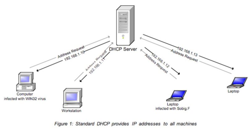 dhcp