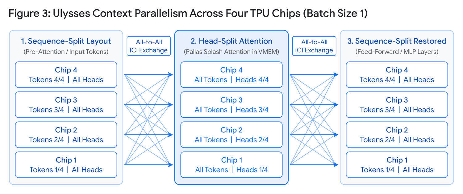 Şekil 3: Batch boyutu birken TPU çipleri arasında Ulysses context parallelism. Yüksek hızlı all-to-all ICI değişimleri, tensörleri feed-forward katmanları için dizi bölünmüş düzen ile Pallas splash attention için head bölünmüş düzen arasında geçiriyor. Kaynak: Google Cloud