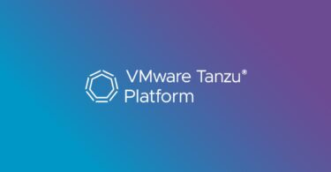 VMware Tanzu Platform 10.4 fleet management